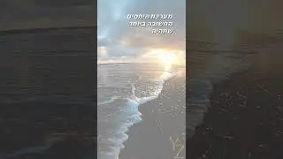 כמה עצות לחיים שכולנו חייבים להכיר