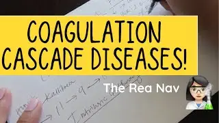Coagulation cascade diseases