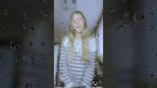 Космический песик