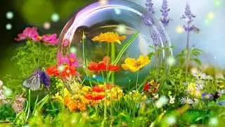 Роль гипофиза, гипоталамуса и эпифиза  в организме человека. Aclon