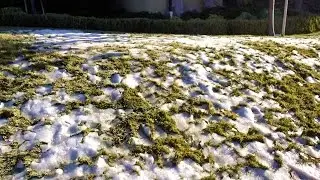 Snow in LA?!