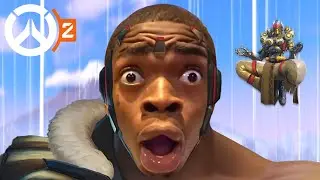 THEY FLY NOW