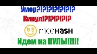 Nicehash Кинул!? Умер!? Идем на пулы