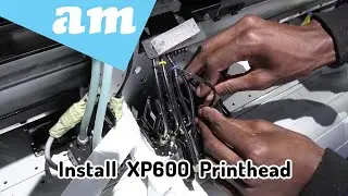 Printhead Installation Steps, Epson XP600 Printhead Installed on UV Ink Dampers Demonstrated