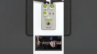 Fender - Hammertone Reverb #fender #fenderpedals #guitarist