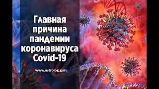 Главная причина эпидемии коронавируса Covid-19!
