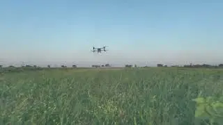 Osprey Agridrone spraying sunflowers in Texas