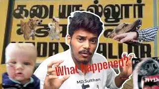 கடையநல்லூரில் வெறி நாய்|MD.Sulthan| #kadayanallur #dog #warningmessage  #tamilnews #breakingnews