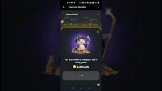 hamster kombat today combo cards|5 june hamster kombat today combo cards | hamster combo