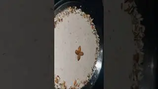 badami kheer #youtube #food #homeal