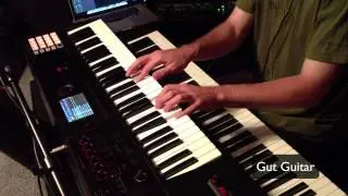Acoustic Guitar Sounds of the FA06
