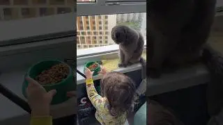Маленькая помощница - кот голодным не останется.#shortvideo #baby #продетей #мамавдекрете #дети #уля