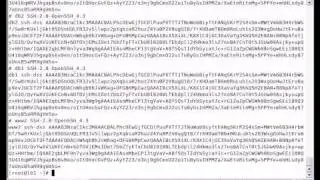 Basic Configuration of Linux Load Balancer Urdu CBT Training Video on CentOS / RedHat Linux