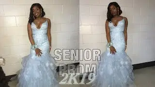 Senior Prom Vlog 2019 // Anna Kate Vlogs