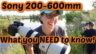 Sony 200-600 mm lens - 8 things to know before you buy