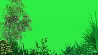 4k Tree and Grass | Green Screen | | Green Screen Animation | 3D effects
