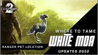 GUILD WARS 2 | WHERE TO TAME THE JUVENILE WHITE MOA | RANGER PET LOCATION FOR BLUE MOA