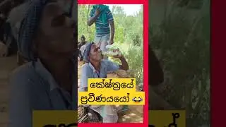 🔋ගල් බාගේ එක උගුරෙන් 😂