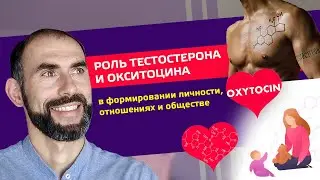 Роль #Тестостерона и #Окситоцина в формировании личности, отношениях и обществе.