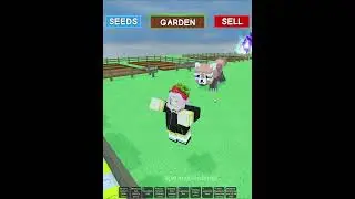 Red Panda is OP 