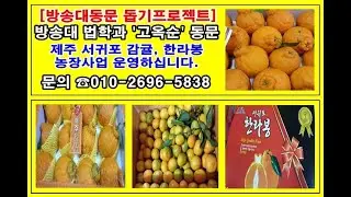 [방송대동문 돕기프로젝트] 한국방송통신대학교 법학과 고옥순동문 제주감귤사업 홍보영상편(1)