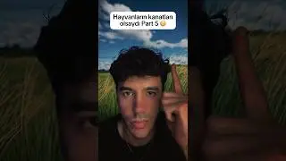 Part 5 | Hayvanların kanatları olsaydı 😳 #komikhayvanlar #sıradışı #ilginç #bilgi #emiqa