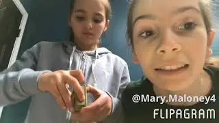 Makeup challenge!