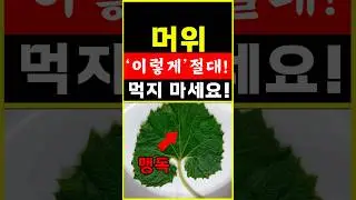 이 부위는 맹독입니다! 머위 이렇게 절대  먹지 마세요!머위와 함께 먹으면 보약되는 음식. #shorts #건강음식 #당뇨 #건강 #음식 #건강정보