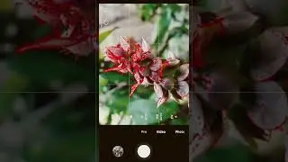 How to click better photos with Android  | #shorts #short #photography #photographer #photoshoot