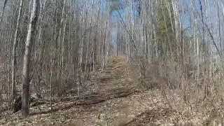 Exploring new trails 1 May 9th