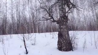 Самодельнй снегоход из Коврова