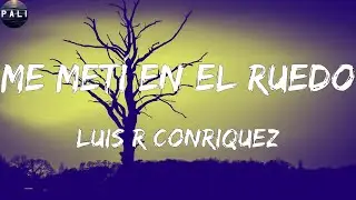 Luis R Conriquez - Me Metí En El Ruedo (Letras)