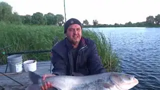 Летающие толстолобы )