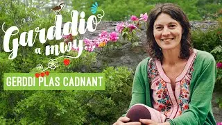 Garddio a Mwy | Gerddi Plas Cadnant