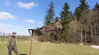 Birds flying in slow motion at Wildpark Poing, Germany