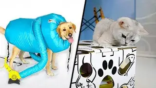 11 Gadgets Your Pet Badly Wants