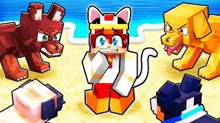 Un CHAT sur une ÎLE Réservé aux CHIENS sur Minecraft !