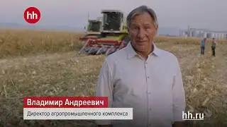 Я ищу тебя на hh.ru