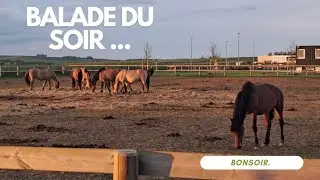 Vlog 6 : On profite du soleil ... ou presque !