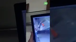 Cámara del lavadero: bomberos extinguieron un incendio intencional.