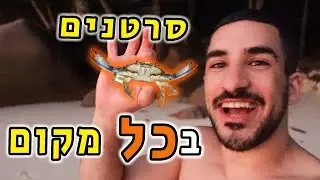 הסרטנים לא עוזבים אותנו !! (או שההפך !?)