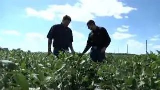 Полный цикл производства продуктов Гербалайф (Herbalife)
