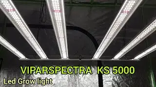 VIPARSPECTRA KS 5000 LED GROW LIGHT UNBOXING, AUTOFLOWER GROW UPDATE