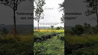 Ketenangan Datang #shortvideo #shorts #short #motivasi #katakatabijak #quotes #motivasidiri #sukses