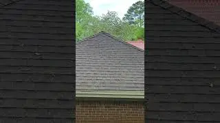 Roof Soft Washing Results - 3