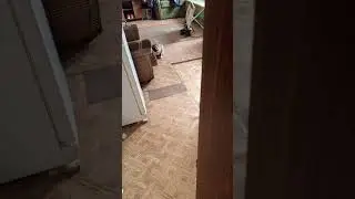 Буся 2024 г.