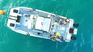 Blackfish Charters