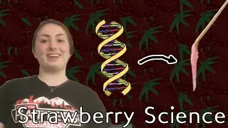 Berry Cool DNA | HatterSTEM