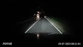 Внезапный пешеход на ночной дороге