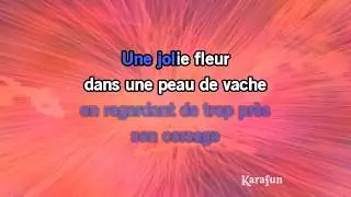 Karaoké Une jolie fleur (Dans une peau d'vache) - Georges Brassens *